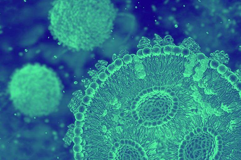lipid nanoparticle cross section