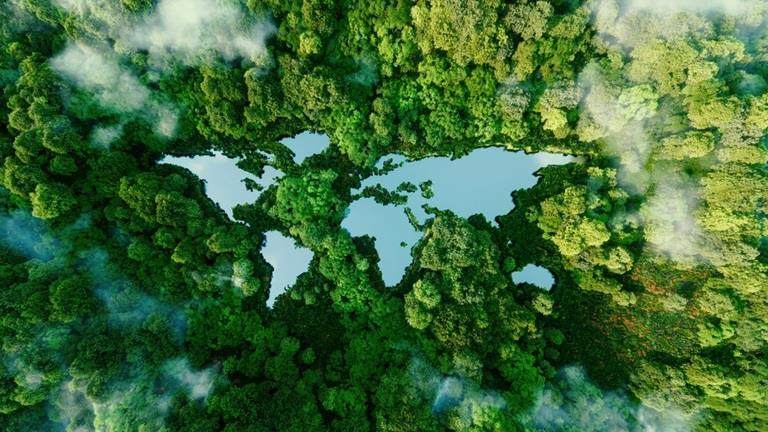 map over rainforest