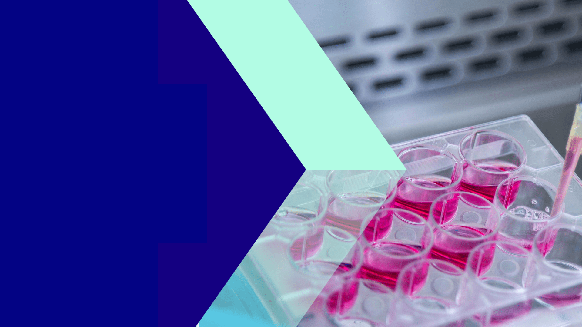 Expand you bioprocessing offering with Croda Pharma Amino Acids
