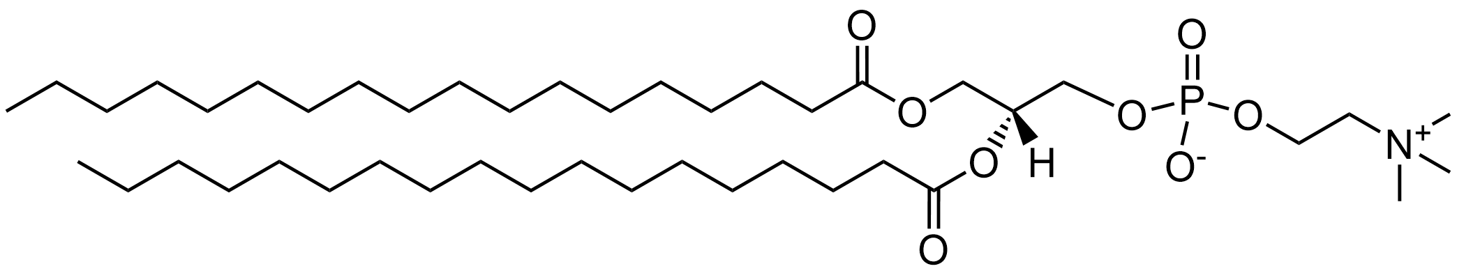 DSPC lipid nanoparticle structure